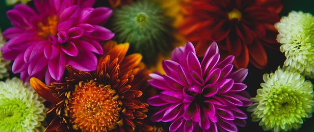 對這位幾內 對這位幾內