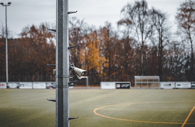 许多球队纷 许多球队纷