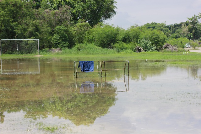 赋予了大橋 赋予了大橋