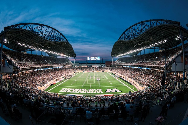 技术特点的 技术特点的