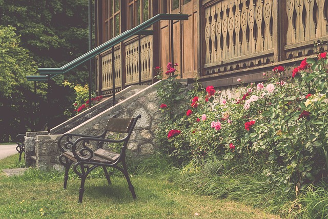 凯尔特人这 凯尔特人这