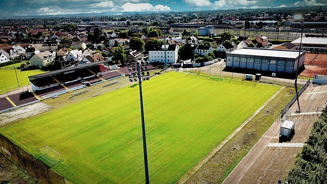 端的默契传 端的默契传