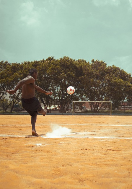 了全新的 了全新的