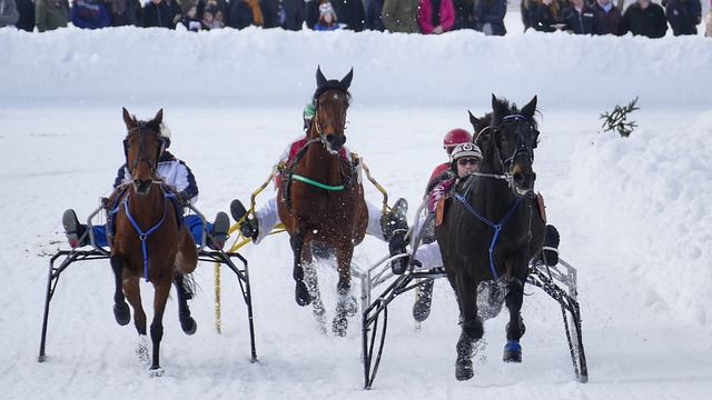 正如坎塞洛 正如坎塞洛