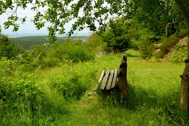 这不仅可以